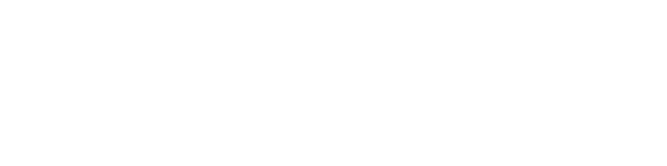 digital-crowd.co.za